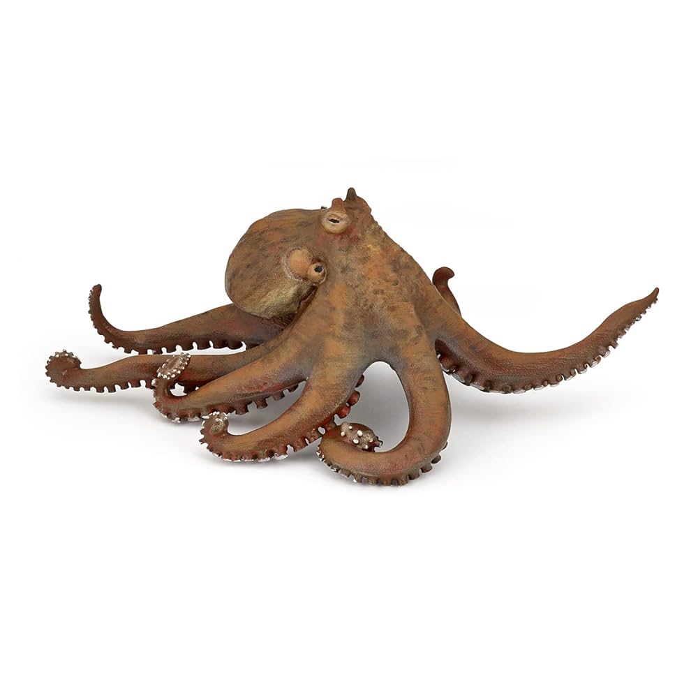 Amazon.com: Papo - hand-painted - figurine - Marine Life